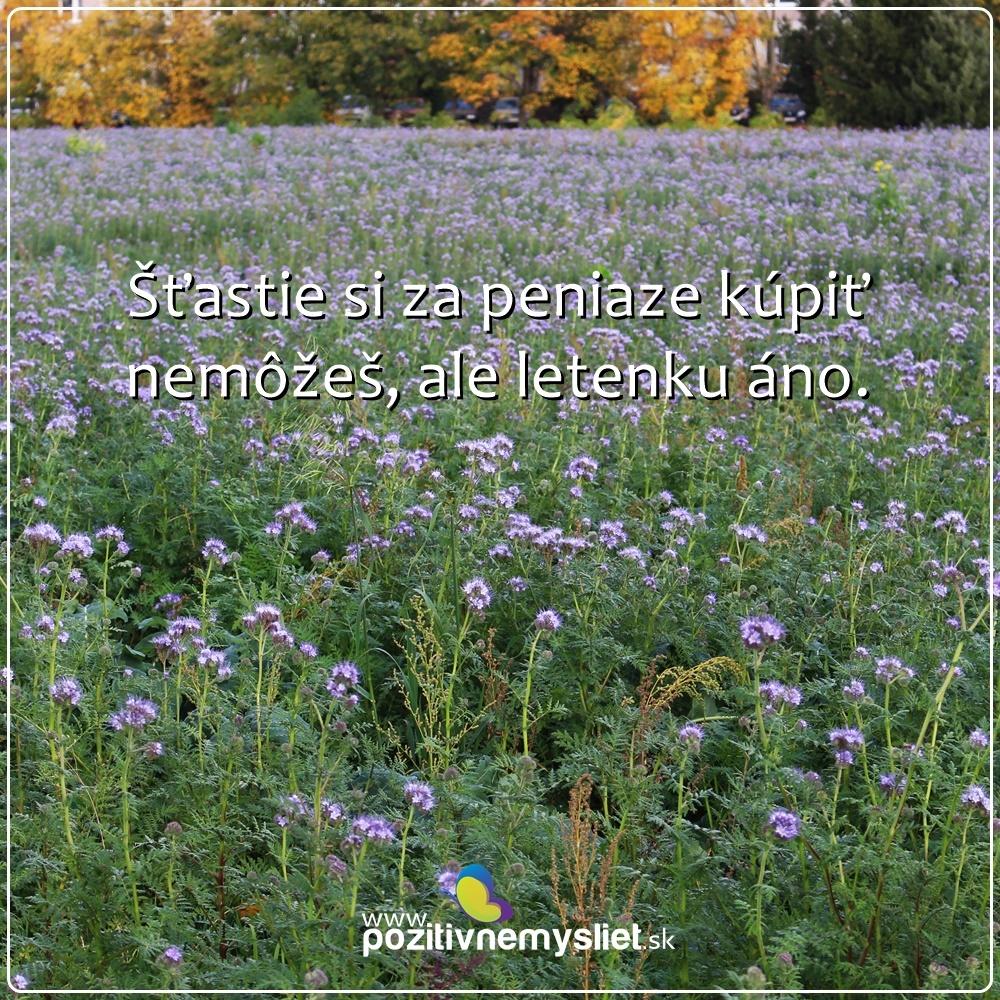 Citát 1119 o cestovaní Pozitivnemysliet.sk