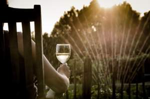 Záhrada a pohoda s vínkom